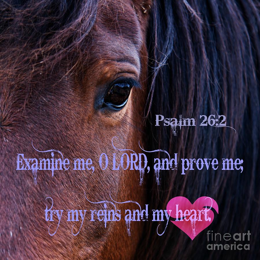 Try My Reins And My Heart Photograph