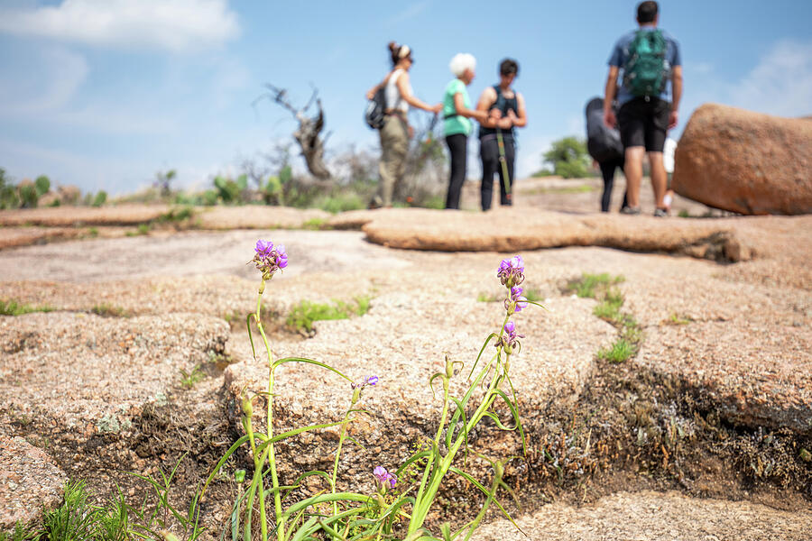 Wildflowers and Family Moments at Enchanted Rock Photograph by Brigitte Blanchette Thompson Wildflowers and Family Moments at Enchanted Rock Photograph by Brigitte Blanchette Thompson