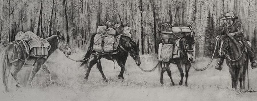 Horse Drawing - Trying to keep it all Together by Susie Gordon