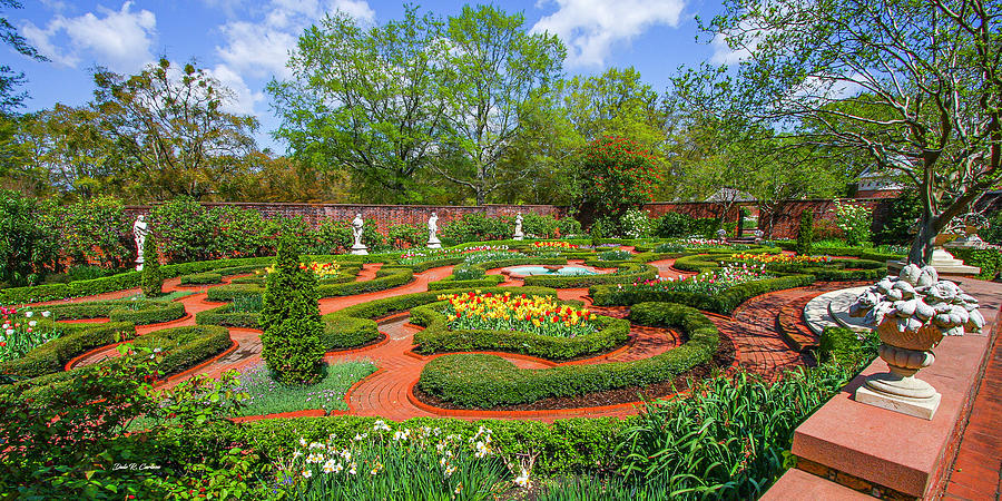 Tryon Palace Gardens Photograph by Dale R Carlson