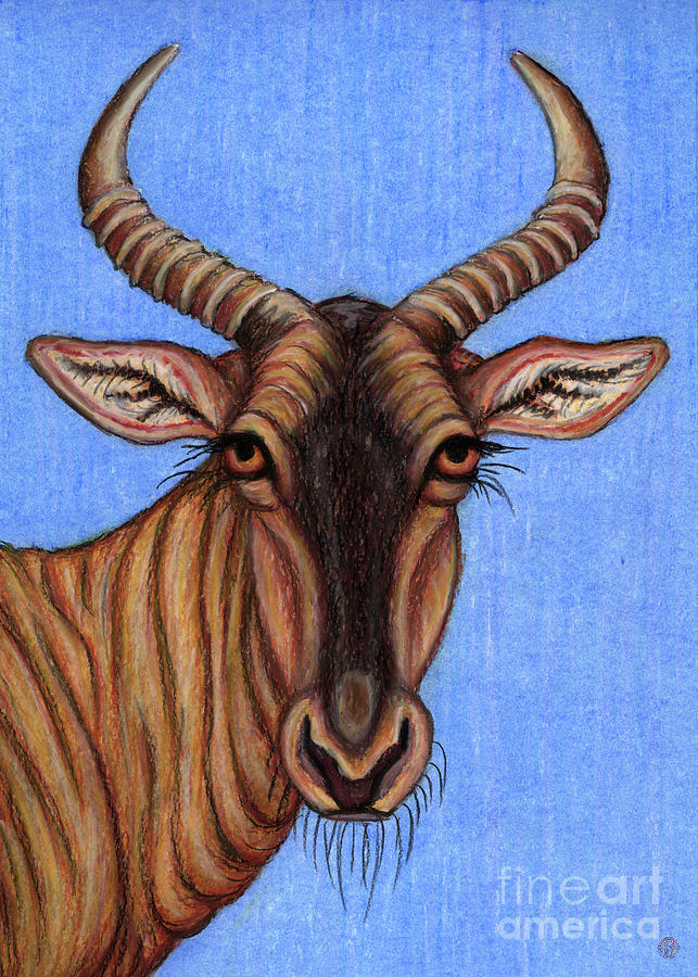 Tsessebe Antelope Painting by Amy E Fraser