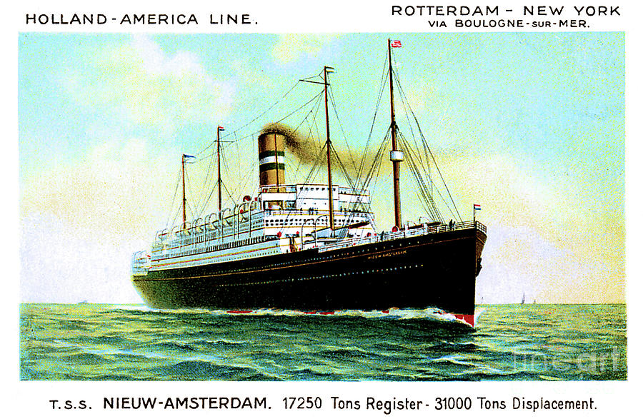 TSS Nieuw Amsterdam Holland America Line Postcard Painting by Unknown
