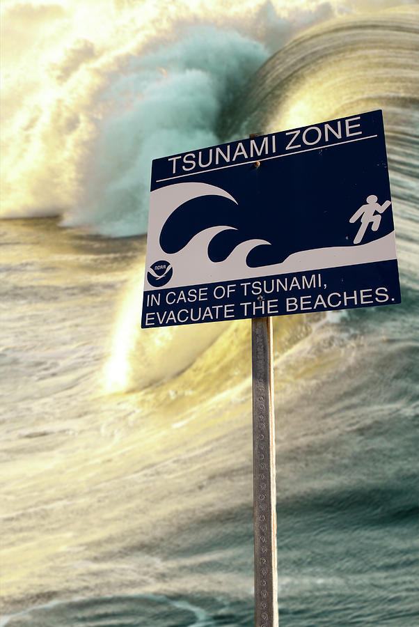 Tsunami Zone Sign With Giant Tidal Wave Mixed Media by Bob Pardue
