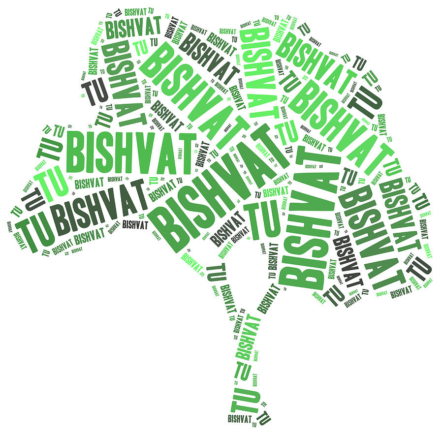 Tu Bishvat. Jewish holiday of trees. Photograph by MattZ90