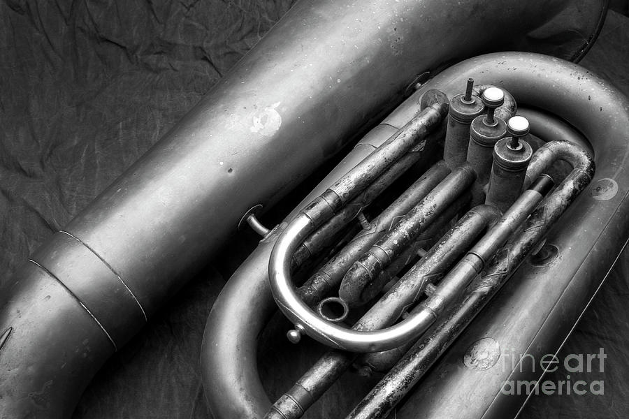 Music Photograph - Tuba-8774B by Timothy Bischoff