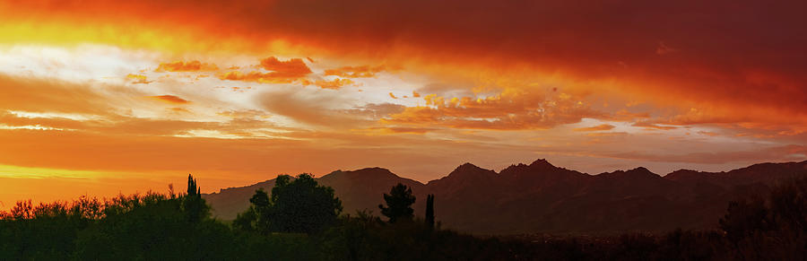 Tucson Arizona Fiery Panorama Sunset Photograph by Katie Dobies
