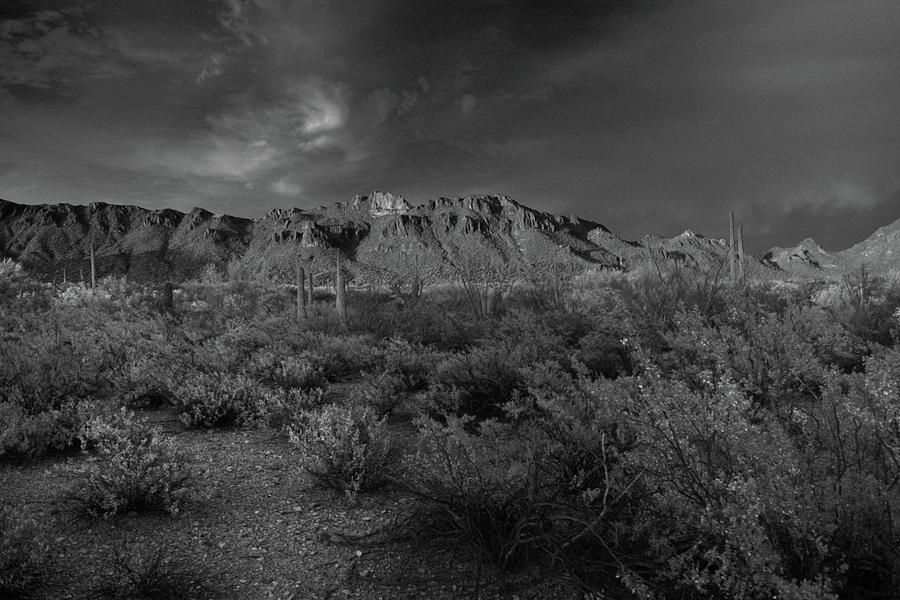 Tucson Mountains Black and White Photograph by Chance Kafka