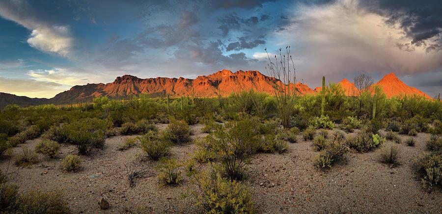 Tucson Mountains Panorama, Arizona Photograph by Chance Kafka