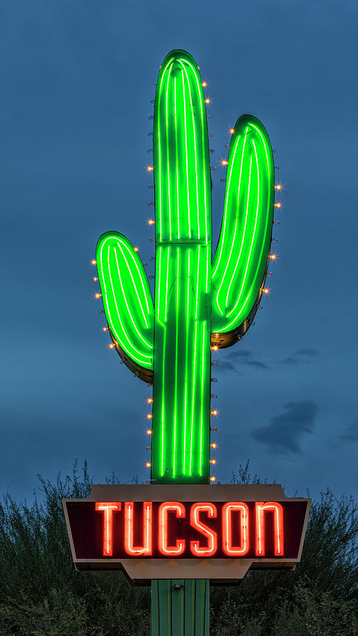 Tucson Photograph - Tucson Neon Cactus by Stephen Stookey