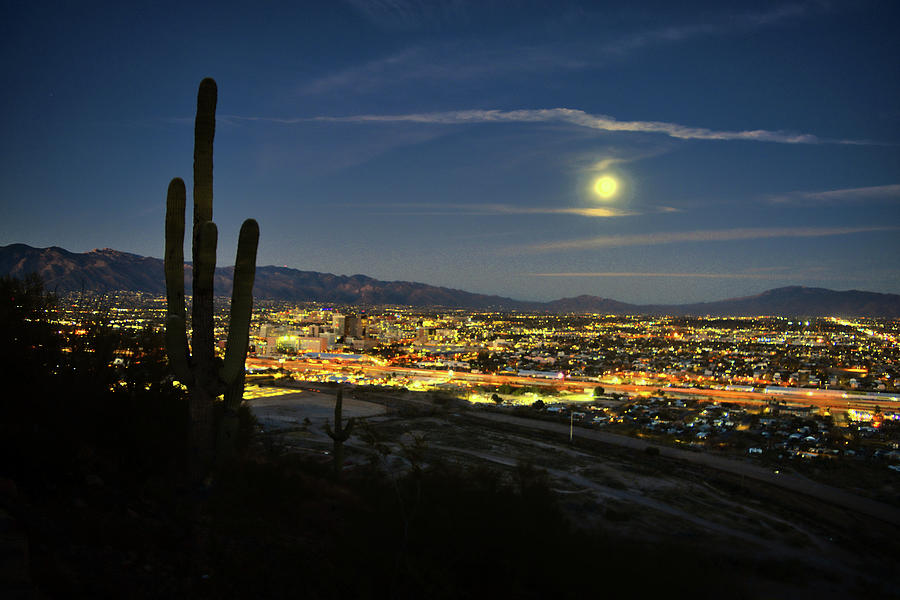 Tucson Night Skyline and Saguaro Cactus Moonrise Photograph by Chance Kafka