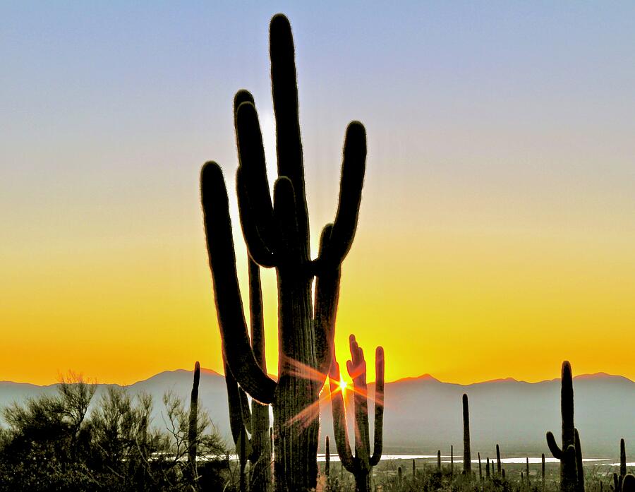 Tucson Sunset Photograph by Ed Riche