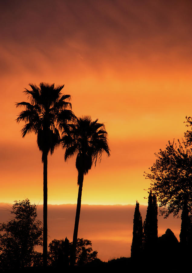Tucson Sunset Photograph by Elaine Malott