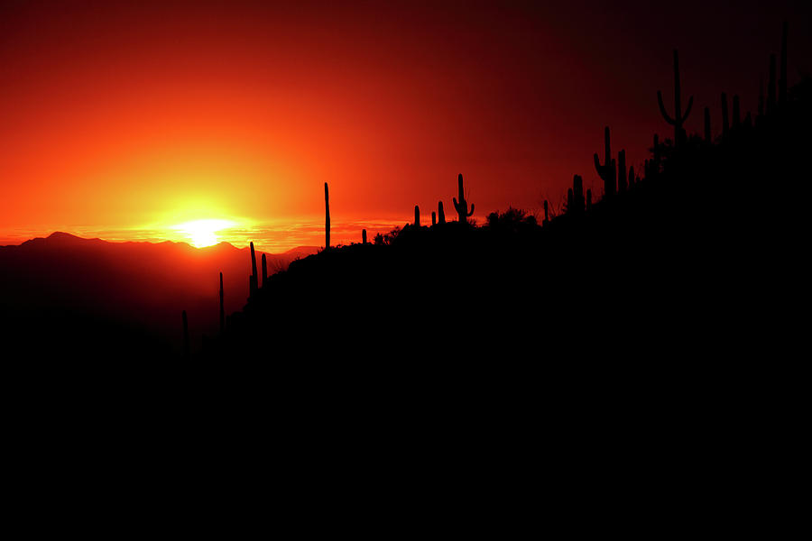 Tucson Sunset Photograph by Lens Art Photography By Larry Trager