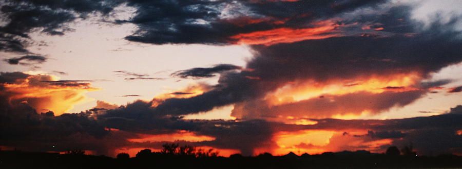 Tucson Sunset Photograph by M Diane Bonaparte