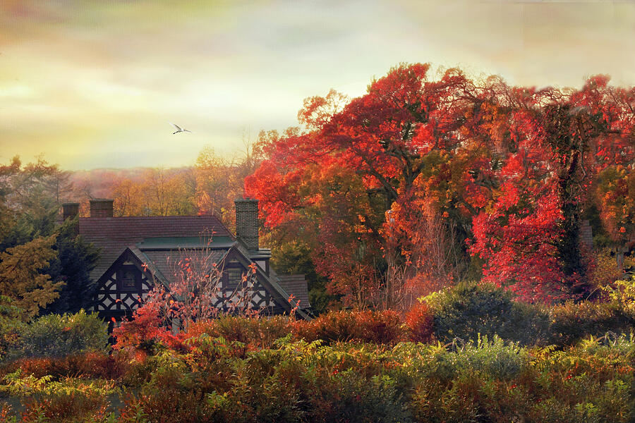 Architecture Photograph - Tudor in Autumn by Jessica Jenney