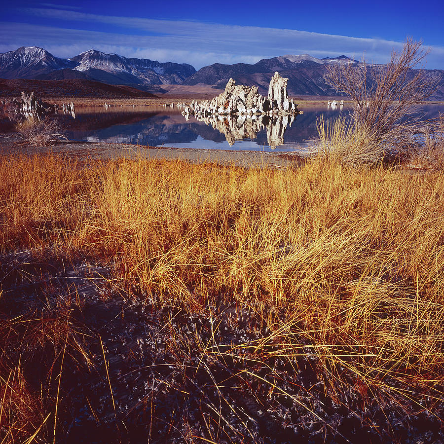 Tufa and Frozen Grass-SQ Photograph by Tom Daniel