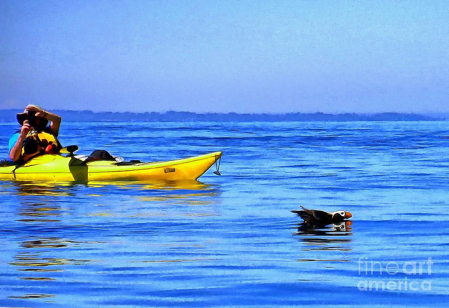 Tufted Puffin Kayaker Paparazzi  Photograph by Sea Change Vibes