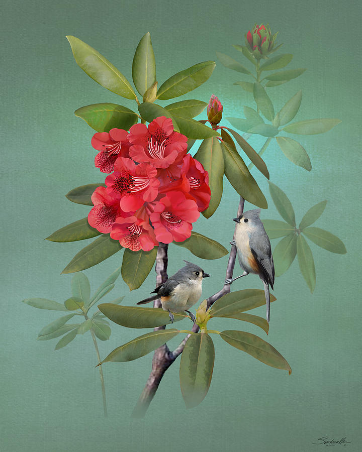 Tufted Titmice and Rhododendron Digital Art by M Spadecaller