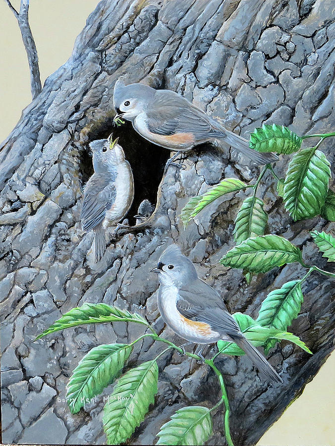 Tufted Titmouse family Painting by Barry Kent MacKay