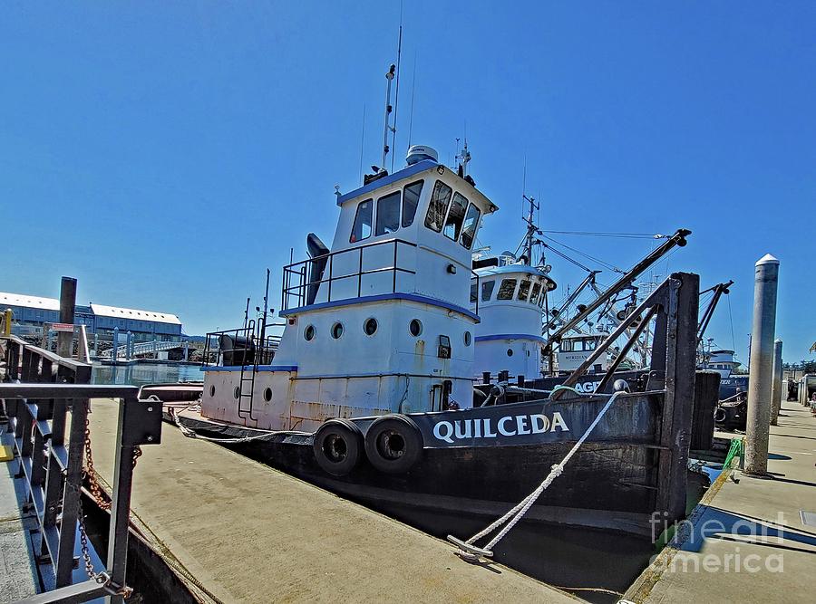 Tug Boat Quilceda 2 Photograph by Norma Appleton