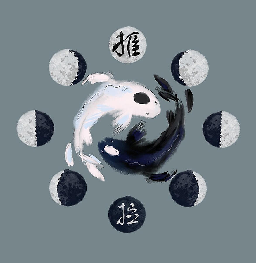 ATLA Koi Fish Yin Yang Shower Curtain - Avatar The Last Airbender Store