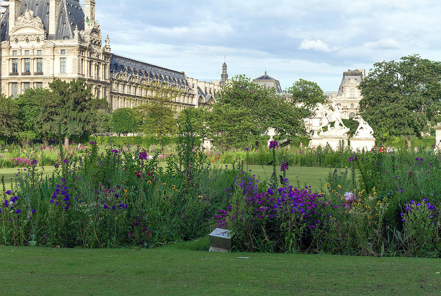 Tuileries Garden, Paris, France Photograph by Elaine Teague