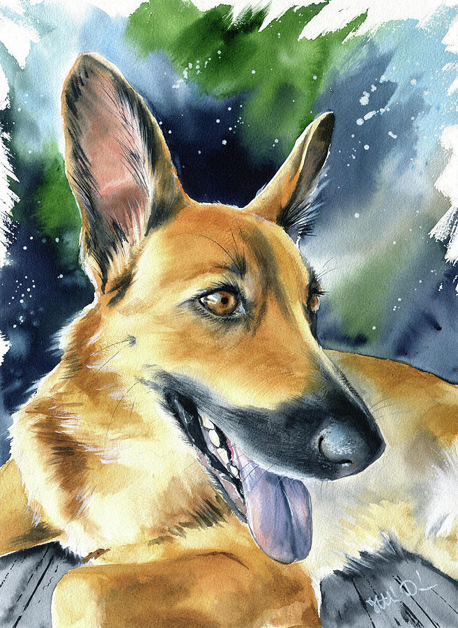 Tula Malinois Shepherd Dog Painting Painting by Dora Hathazi Mendes