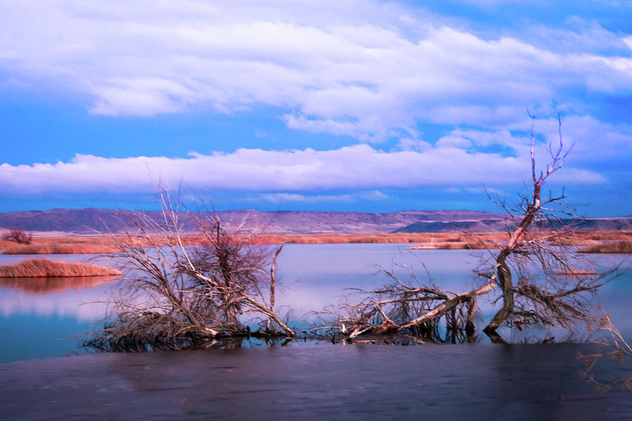 Tule Lake, CA3 Photograph by Janine Williams Fine Art America