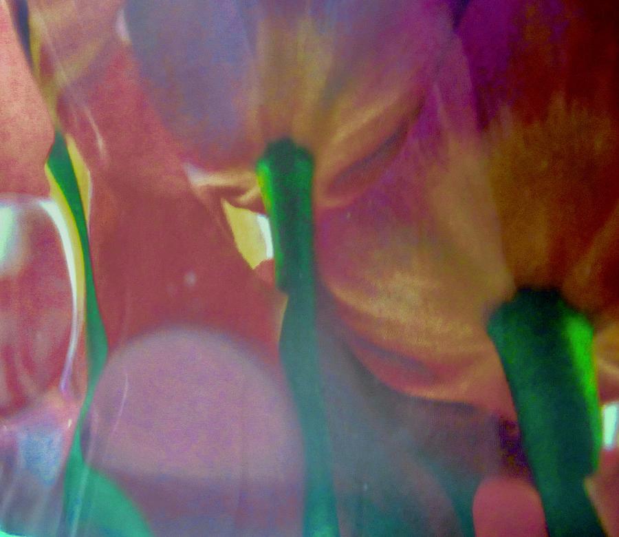 Tulip Abstract Photograph by Stephanie Moore