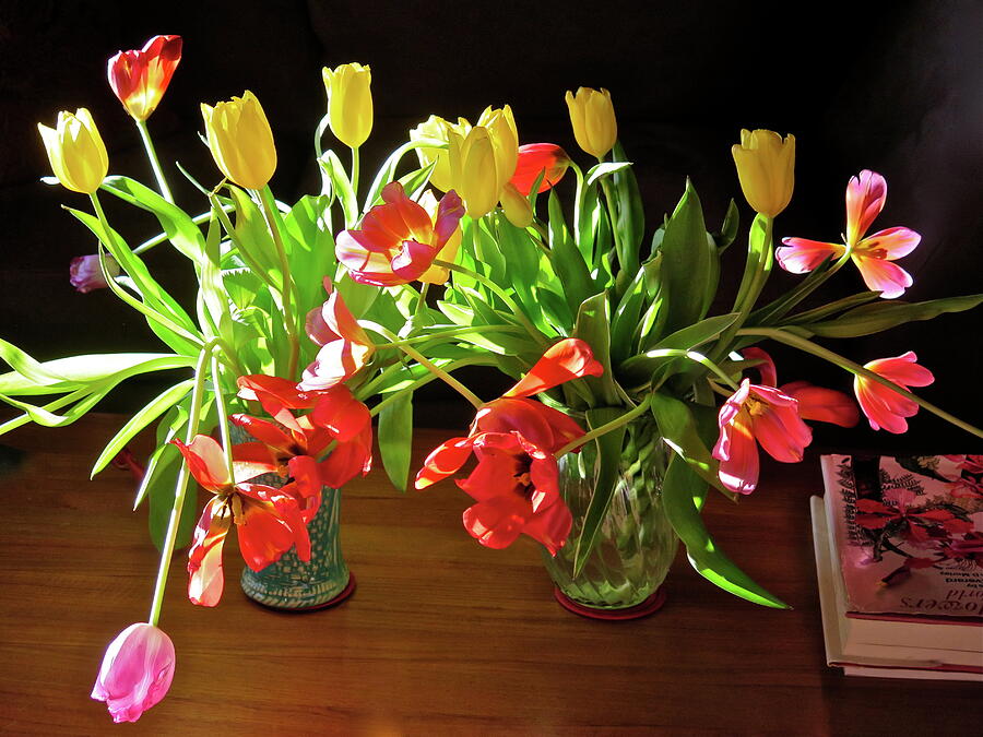 Still Life Photograph - Tulip Afternoon by Bonnie See