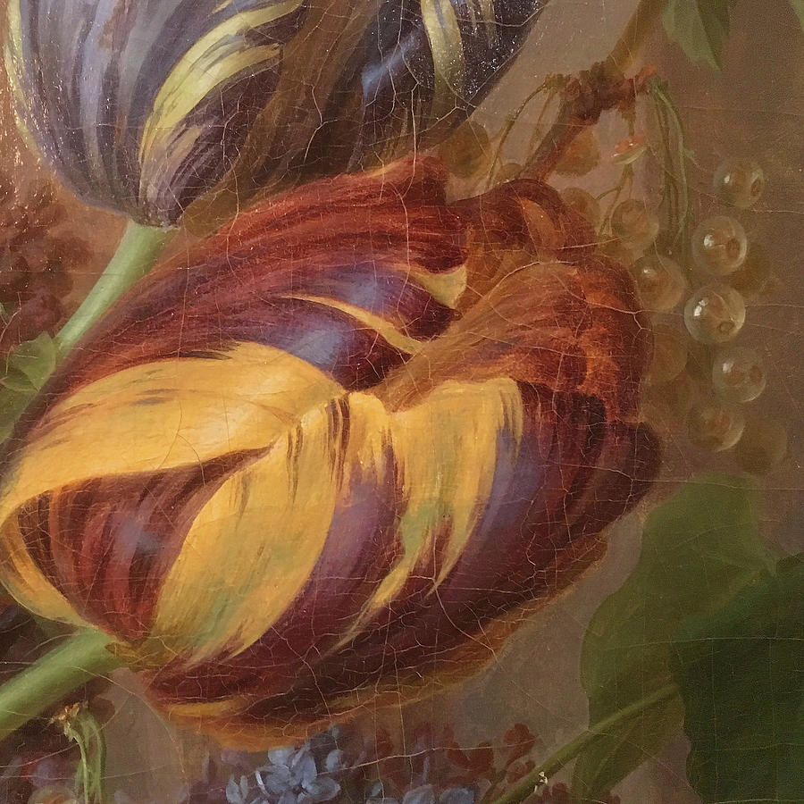 Tulip and grapes by Nop Briex Tulip and grapes by Nop Briex