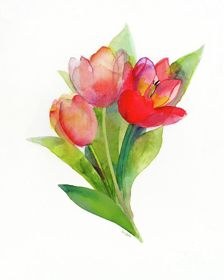 Tulip Booms Trio Painting by Sue Zipkin - Fine Art America