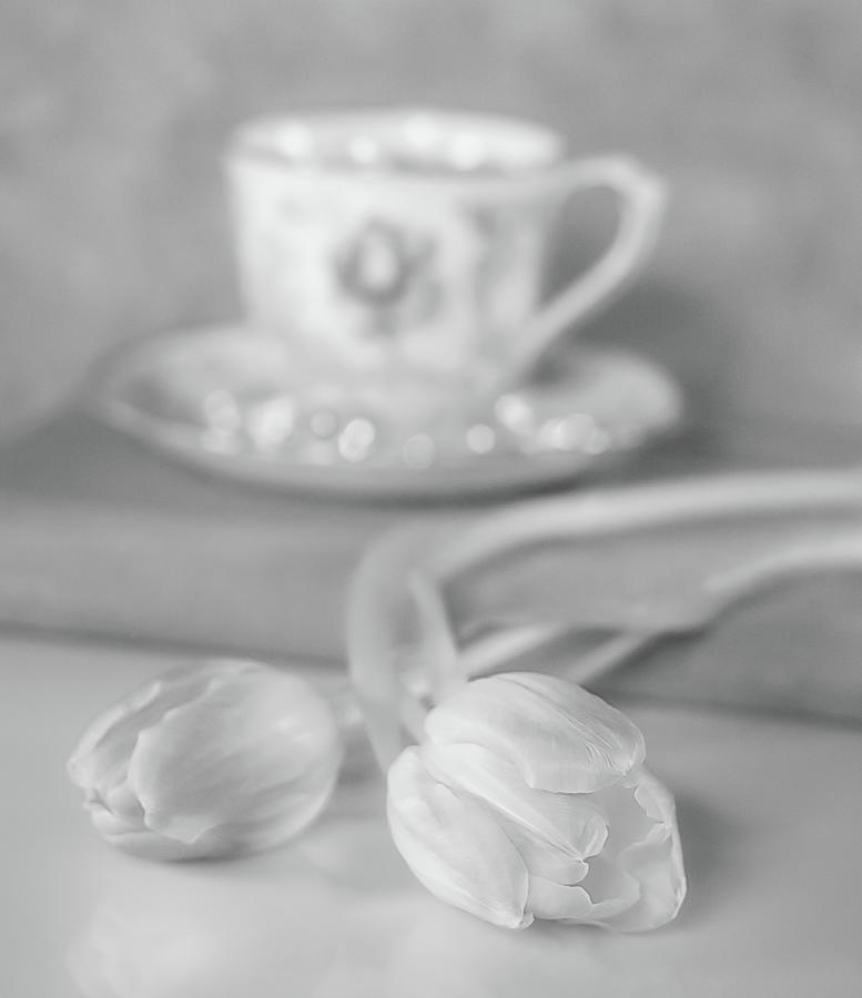Tulip Cafe Photograph by Sylvia Goldkranz