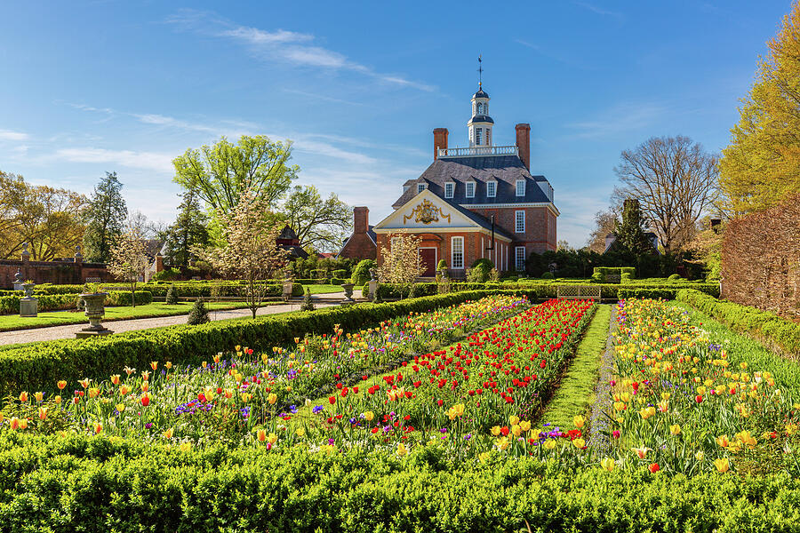 Tulip Garden at the Governors Palace Photograph by Rachel Morrison