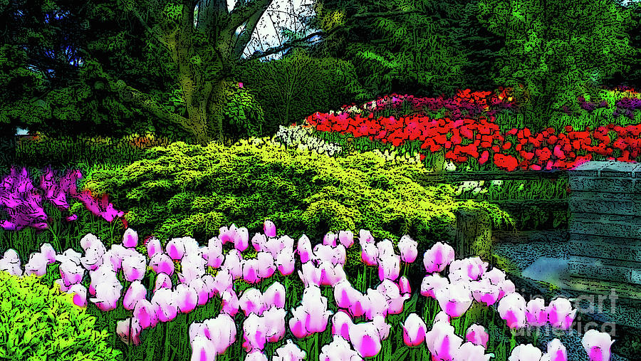 Tulip Garden Photograph by Sea Change Vibes