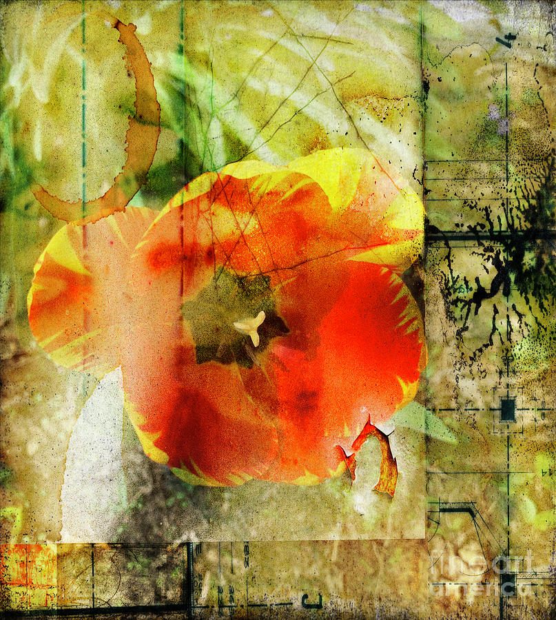 Tulip Grunge Photograph by Luther Fine Art