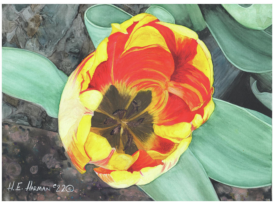 Tulip Heart Painting by Heather E Harman