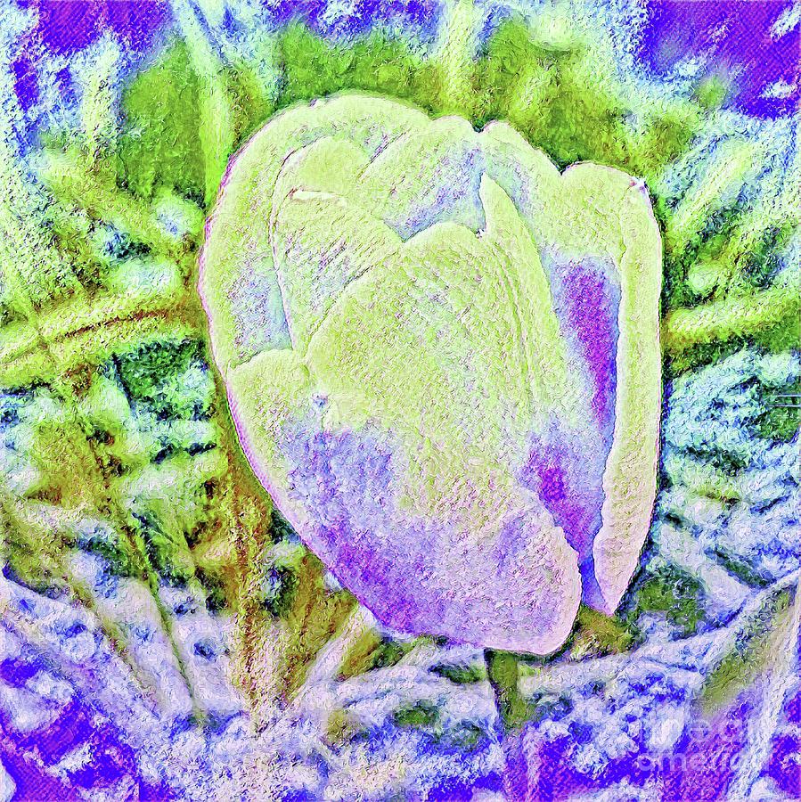 Tulip Impression Digital Art by Rachel Hannah