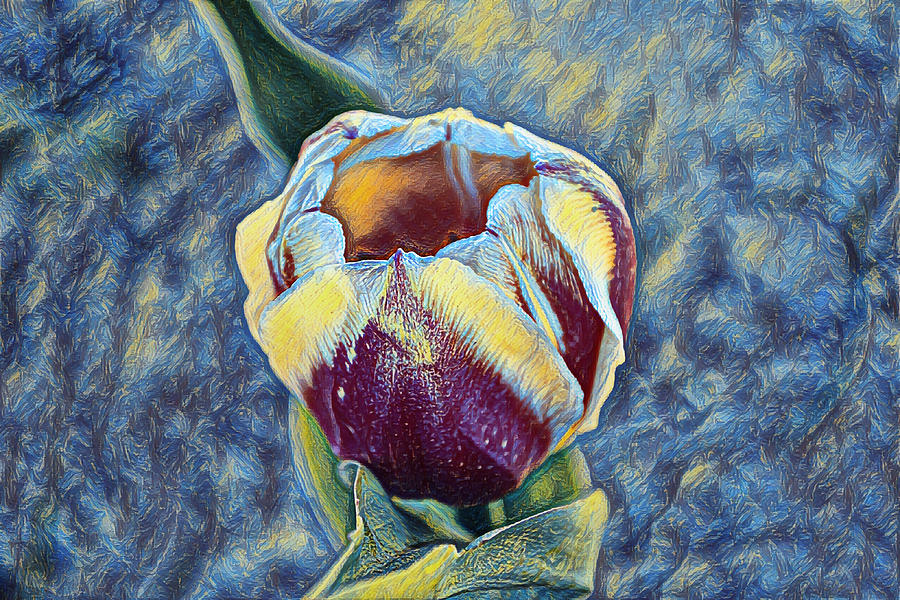 Tulip Impressionistic Style And Tones Digital Art By Gaby Ethington