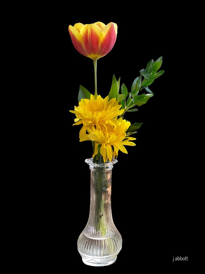 Tulip in Vase Photograph by Jerry Abbott
