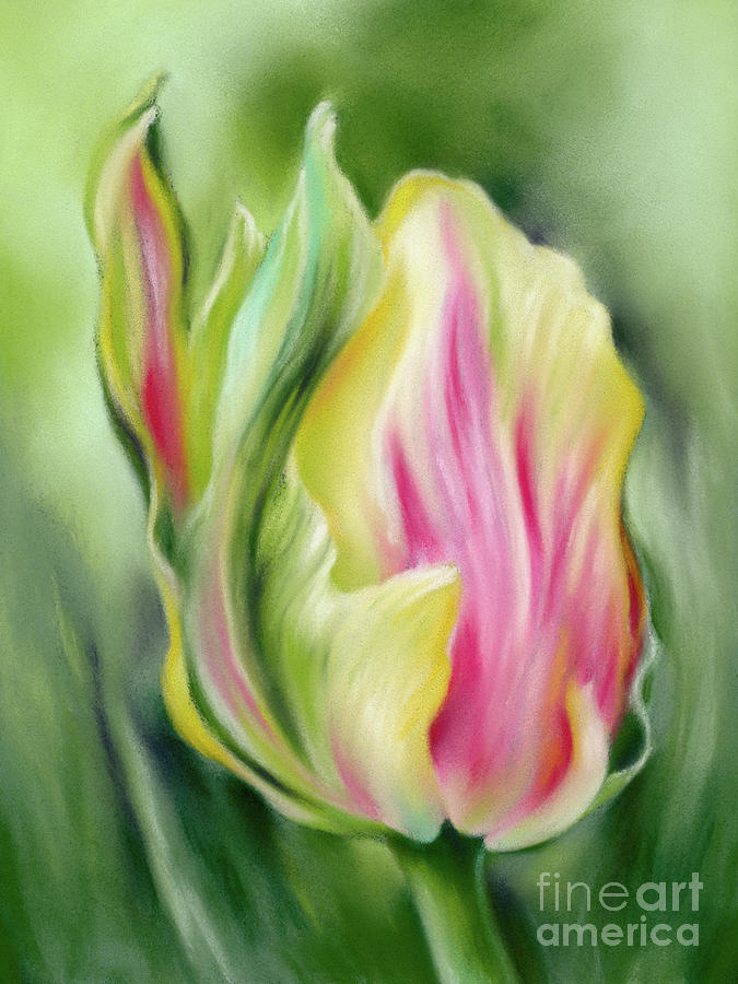 Nature Painting - Tulip in Yellow Pink and Green by MM Anderson