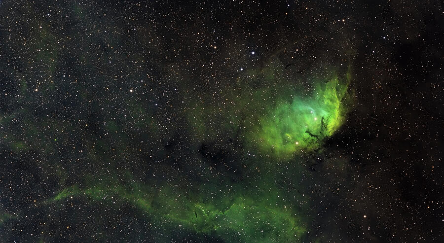Tulip Nebula Photograph by Brian Weber