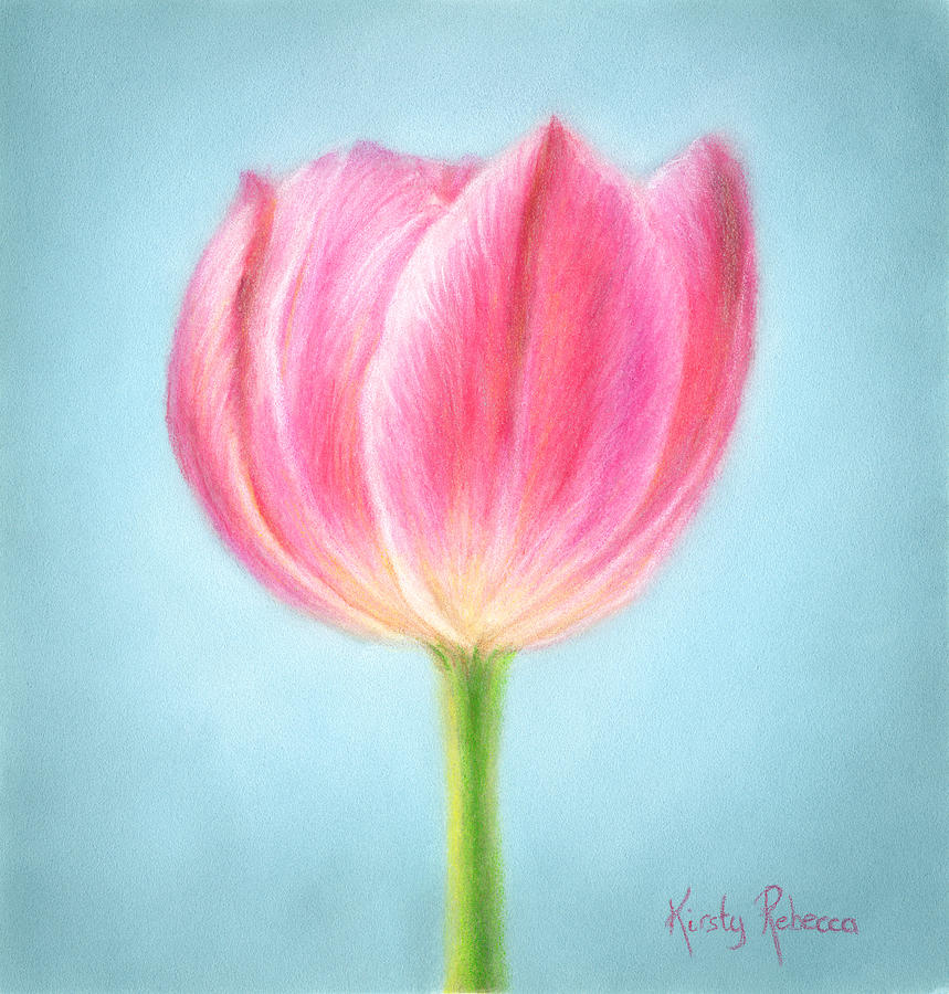 Tulip Pastel by Kirsty Rebecca