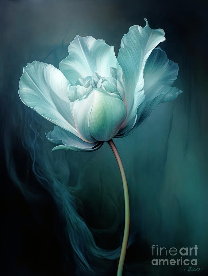 Tulip of the Night Digital Art by Jutta Maria Pusl