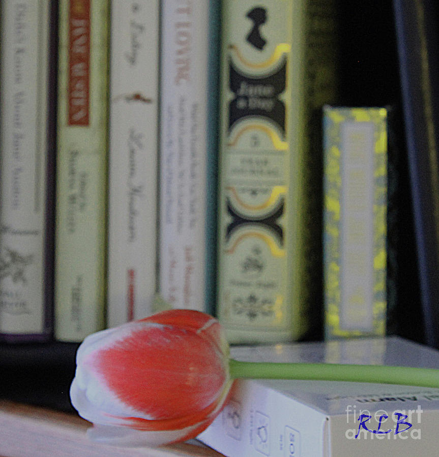 Tulip on Bookshelf Photograph by Rita Brown