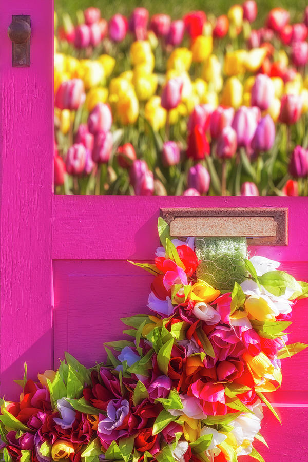 Tulip Parcel Delivery Photograph by Susan Candelario