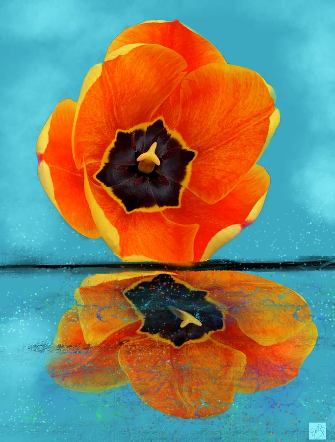 Tulip Reflections Photograph by Eileen Backman