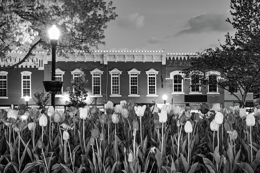 Tulip Skyline - A Monochrome View Along The Downtown Bentonville Square Photograph by Gregory Ballos