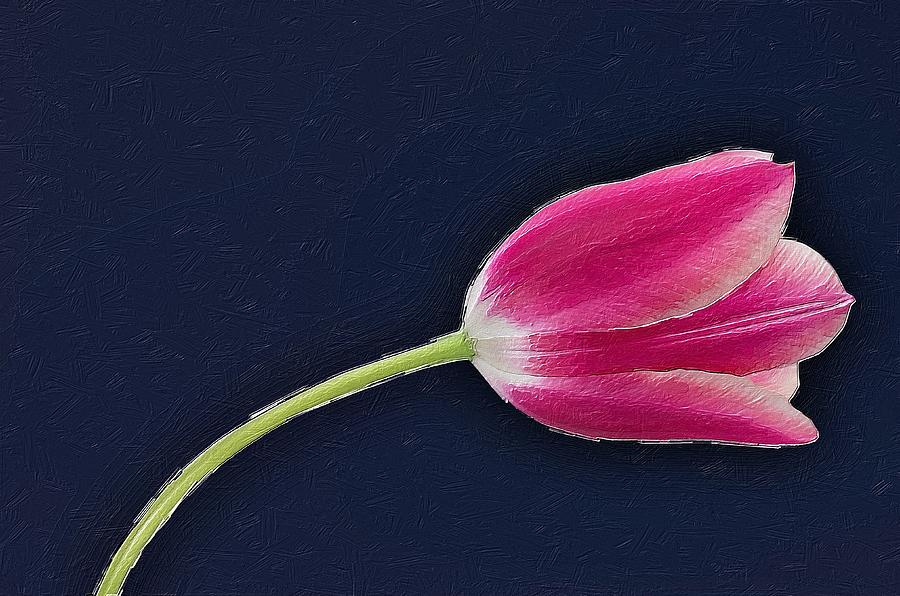 Tulip Painting by Tony Rubino