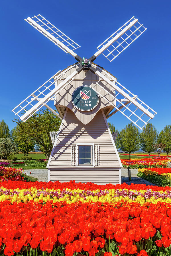 Tulip Photograph - Tulip Town Windmill by James Marvin Phelps Tulip Photograph - Tulip Town Windmill by James Marvin Phelps